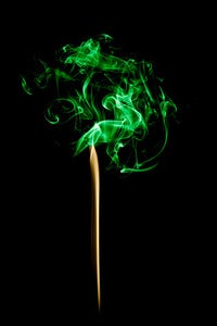 Image of Summer Tree - The Smoke Collection