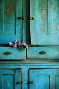 Image of storeroom lilacs
