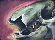 Image of Sloth Skull