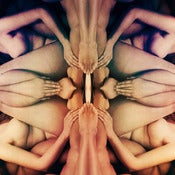 Image of Organic Orgy