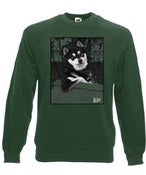 Image of Big Scary Monsters dog sweatshirt