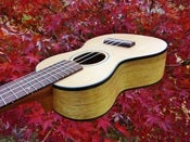 Image of Sailor Brand Spruce/Black Limba Soprano