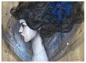 Image of Because