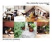 Image of BOOK "a butterfly in your house#2"