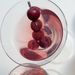 Image of Cocktail Kyoho Grapes