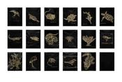 Image of “80.15 W” Digital Print