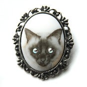 Image of Cats Eyes Brooch - Siamese