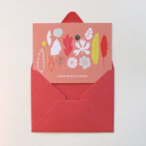 Image of Specimen Card Pack