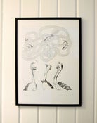 Image of "Pelicans' dream"  Limited edition Giclée print.
