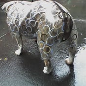 Image of rainsuit