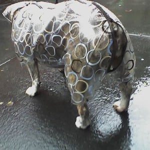 Image of rainsuit