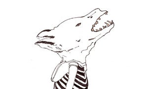 Image of Wolf wearing a floral undergarment
