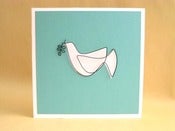 Image of dove