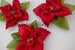 Image of poinsettia broach