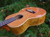 Image of Ohana Redwood/Myrtle Tenor Limited series