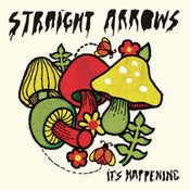Image of STRAIGHT ARROWS - LP
