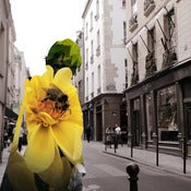 Image of Untitled 15