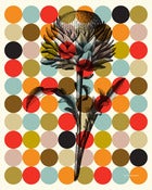 Image of Flora 80 Dots Poster