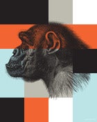 Image of Gorilla Squares Poster