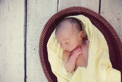 Image of How to Pose Newborns | The collection