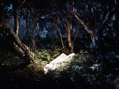Image of Darker 'Untitled 14' by Andrew Goldie