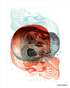 Image of 3 Skull Poster