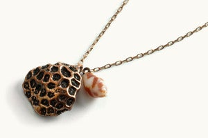Image of Coral Shell