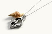 Image of Skull 