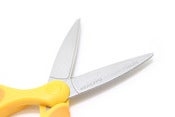 Image of Special scissors
