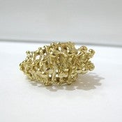 Image of Bone Vault Ring