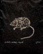 Image of (80.15 W:) Key Largo Cotton Mouse