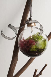 Image of Terrarium Ornament