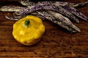 Image of Dragon's Tongue beans, Pattypan squash