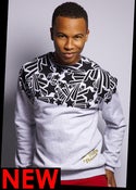 Image of SHOOTING STAR JUMPER - GRAY