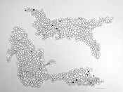 Image of Amoeba Like by Daniel Smith
