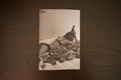 Image of OJAE Blog: Chapter II 
