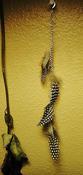 Image of Spotted Feathers
