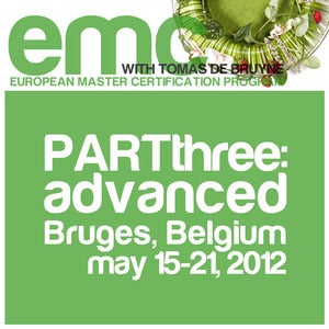 Image of European Master Certification Program: PART 3