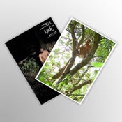 Image of Kink 06 + Photo Pepo