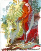 Image of "Albemarle Star", 8" x 10" Giclee Print