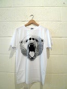Image of Grizzly Bear