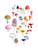Image of Mushrooms