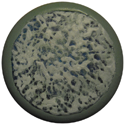 Image of Snow & Mudflat Stamp