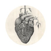 Image of Pomegranate 