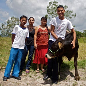 Image of Card #2 - A Calf For A Family