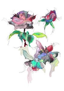 Image of Rose.