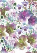 Image of Whitney Eve Spring 12 - Purple Floral