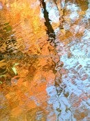 Image of Reflections 3 - 8x10in Photograph
