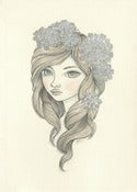 Image of Queen Anne's Lace