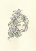 Image of Royal Bluebell